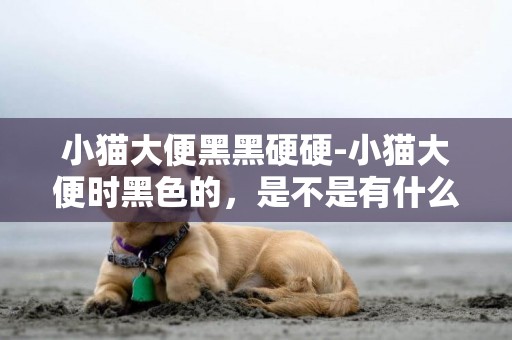 小貓大便黑黑硬硬-小貓大便時黑色的，是不是有什么問題啊？