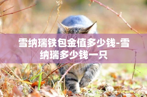 雪納瑞鐵包金值多少錢-雪納瑞多少錢一只