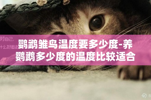 鸚鵡雛鳥溫度要多少度-養鸚鵡多少度的溫度比較適合
