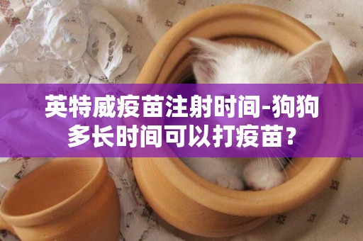 英特威疫苗注射時間-狗狗多長時間可以打疫苗？