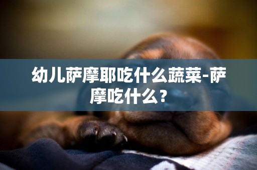 幼兒薩摩耶吃什么蔬菜-薩摩吃什么？