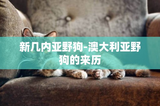 新幾內亞野狗-澳大利亞野狗的來歷