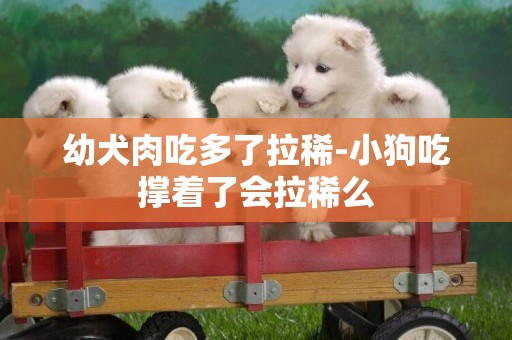 幼犬肉吃多了拉稀-小狗吃撐著了會拉稀么
