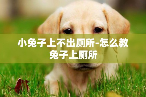 小兔子上不出廁所-怎么教兔子上廁所