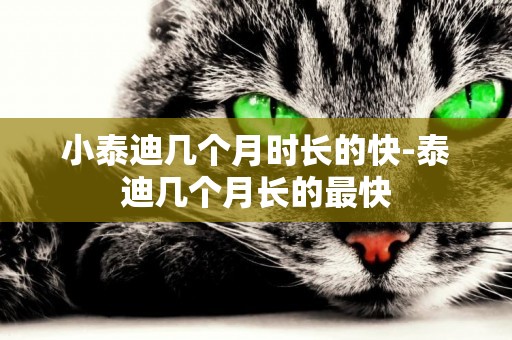 小泰迪幾個月時長的快-泰迪幾個月長的最快