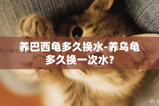 養巴西龜多久換水-養烏龜多久換一次水？