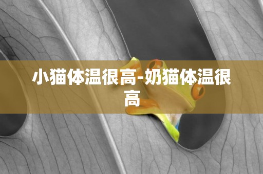 小貓體溫很高-奶貓體溫很高