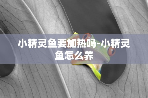 小精靈魚要加熱嗎-小精靈魚怎么養