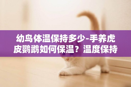 幼鳥體溫保持多少-手養虎皮鸚鵡如何保溫？溫度保持在多少度？