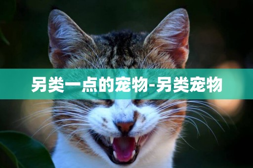 另類一點的寵物-另類寵物