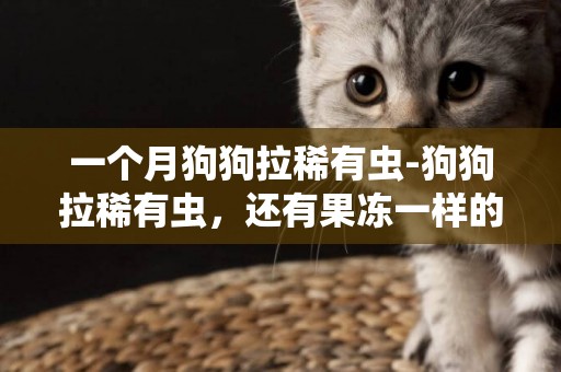 一個月狗狗拉稀有蟲-狗狗拉稀有蟲，還有果凍一樣的便便
