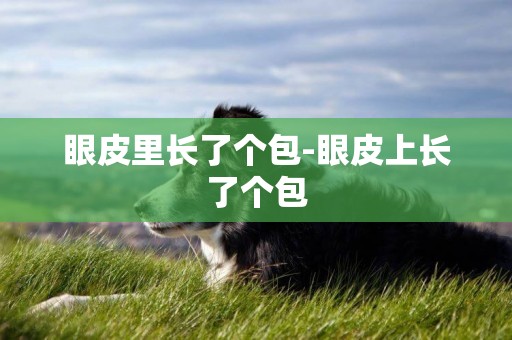 眼皮里長了個包-眼皮上長了個包
