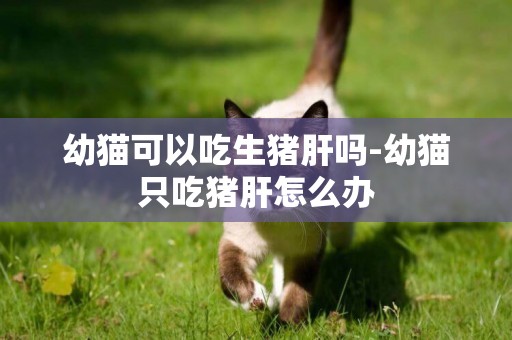 幼貓可以吃生豬肝嗎-幼貓只吃豬肝怎么辦