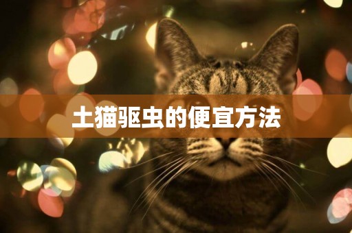 土貓驅蟲的便宜方法