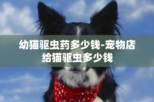 幼貓驅蟲藥多少錢-寵物店給貓驅蟲多少錢