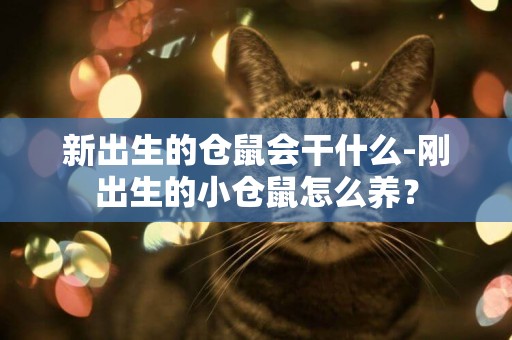新出生的倉鼠會干什么-剛出生的小倉鼠怎么養？