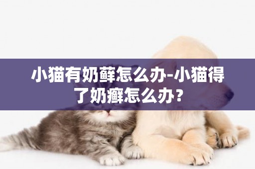 小貓有奶蘚怎么辦-小貓得了奶癬怎么辦？