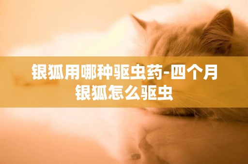 銀狐用哪種驅蟲藥-四個月銀狐怎么驅蟲