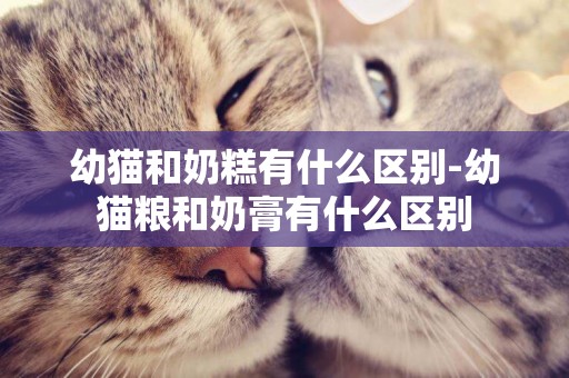 幼貓和奶糕有什么區別-幼貓糧和奶膏有什么區別