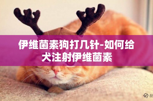 伊維菌素狗打幾針-如何給犬注射伊維菌素