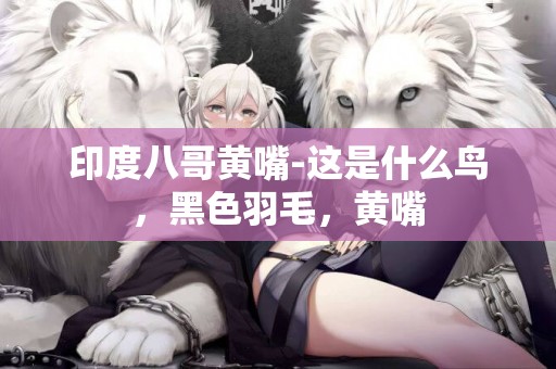 印度八哥黃嘴-這是什么鳥，黑色羽毛，黃嘴