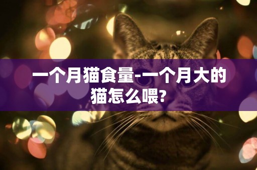 一個月貓食量-一個月大的貓怎么喂?