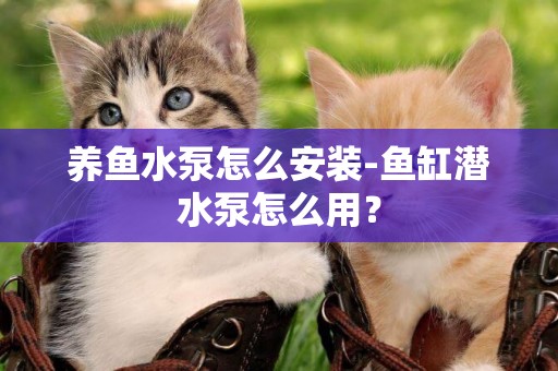 養魚水泵怎么安裝-魚缸潛水泵怎么用？