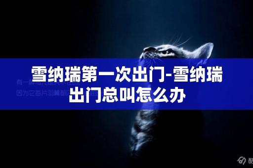 雪納瑞第一次出門-雪納瑞出門總叫怎么辦