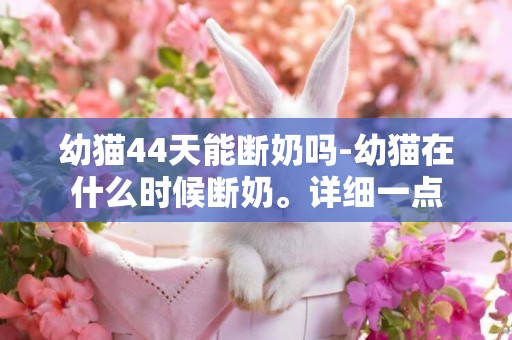 幼貓44天能斷奶嗎-幼貓在什么時候斷奶。詳細一點