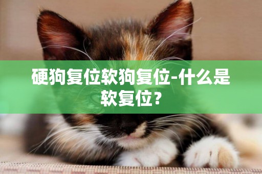 硬狗復位軟狗復位-什么是軟復位？