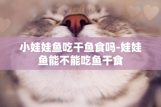 小娃娃魚吃干魚食嗎-娃娃魚能不能吃魚干食