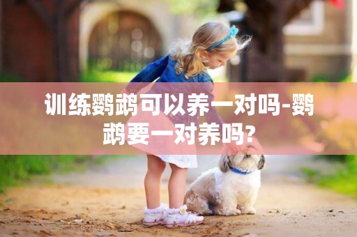 訓練鸚鵡可以養一對嗎-鸚鵡要一對養嗎?