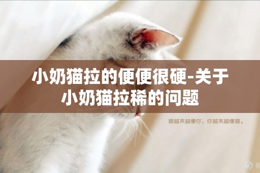 小奶貓拉的便便很硬-關于小奶貓拉稀的問題