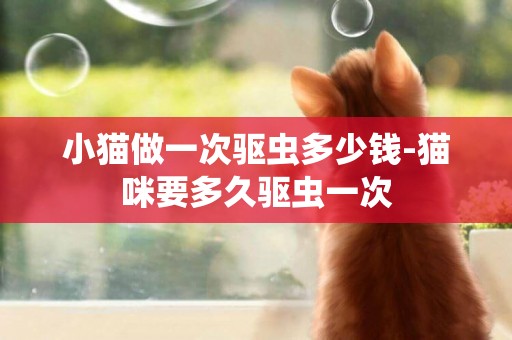 小貓做一次驅蟲多少錢-貓咪要多久驅蟲一次