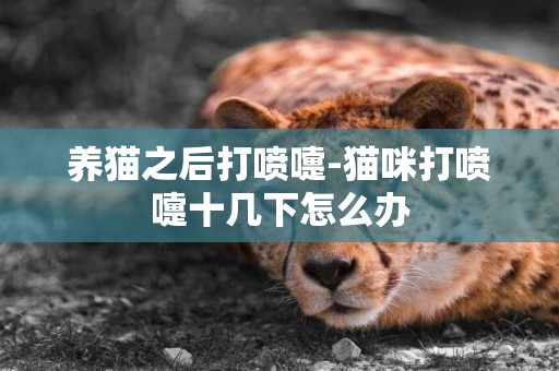 養貓之后打噴嚏-貓咪打噴嚏十幾下怎么辦
