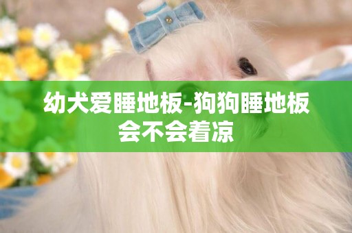 幼犬愛睡地板-狗狗睡地板會不會著涼