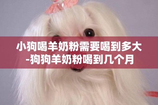 小狗喝羊奶粉需要喝到多大-狗狗羊奶粉喝到幾個月