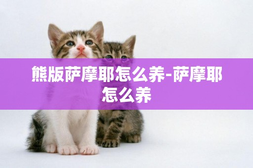 熊版薩摩耶怎么養-薩摩耶怎么養