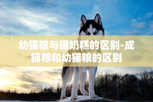 幼貓糧與貓奶糕的區別-成貓糧和幼貓糧的區別