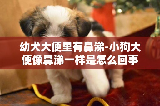 幼犬大便里有鼻涕-小狗大便像鼻涕一樣是怎么回事