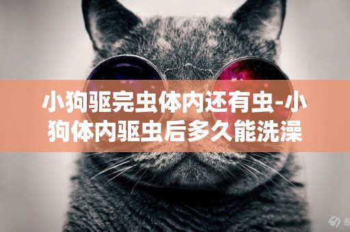 小狗驅完蟲體內還有蟲-小狗體內驅蟲后多久能洗澡