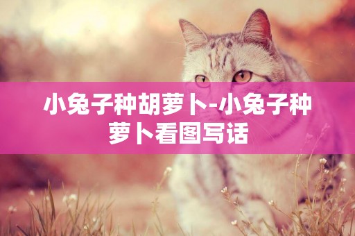 小兔子種胡蘿卜-小兔子種蘿卜看圖寫話
