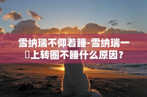 雪納瑞不仰著睡-雪納瑞一晩上轉圈不睡什么原因？