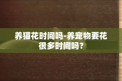 養貓花時間嗎-養寵物要花很多時間嗎？