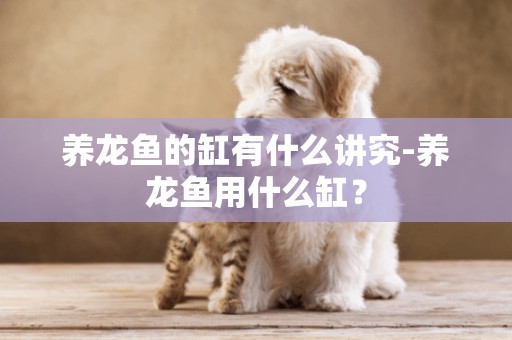 養龍魚的缸有什么講究-養龍魚用什么缸？