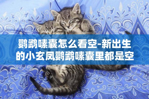 鸚鵡嗉囊怎么看空-新出生的小玄鳳鸚鵡嗉囊里都是空氣怎么辦?