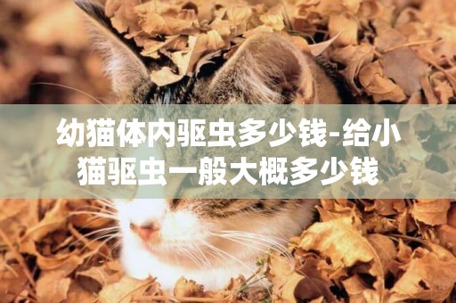 幼貓體內驅蟲多少錢-給小貓驅蟲一般大概多少錢