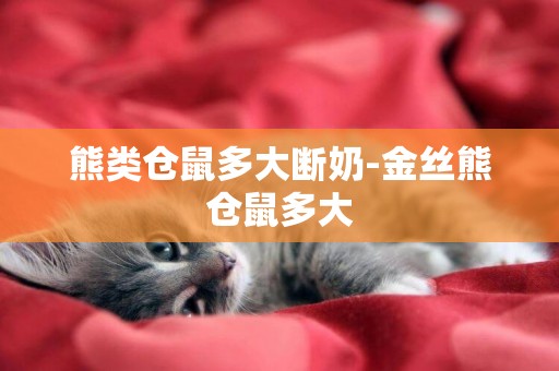熊類倉鼠多大斷奶-金絲熊倉鼠多大