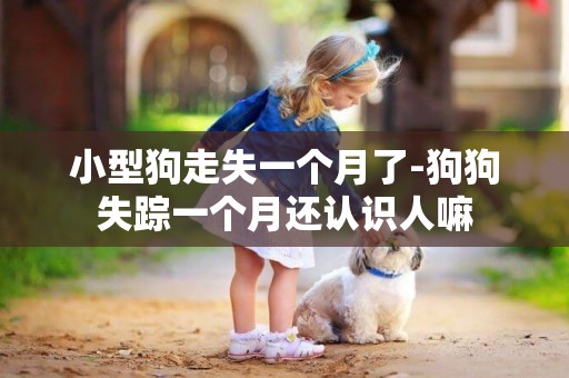 小型狗走失一個月了-狗狗失蹤一個月還認識人嘛