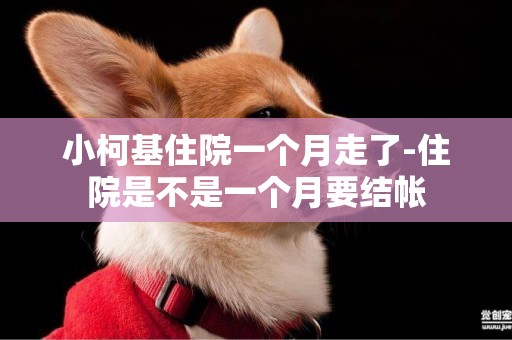 小柯基住院一個月走了-住院是不是一個月要結帳